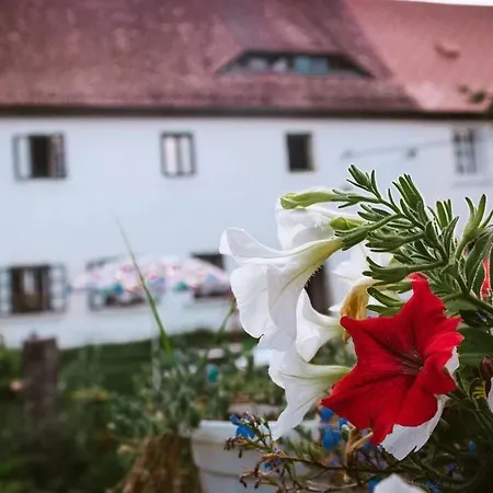 Apartman Nest&Rest Nature Home Spa Enjoy Cozy Attic Jablonné v Podještědí