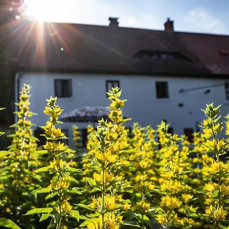 Nest&Rest Nature Home Spa Enjoy Cozy Attic Apartman