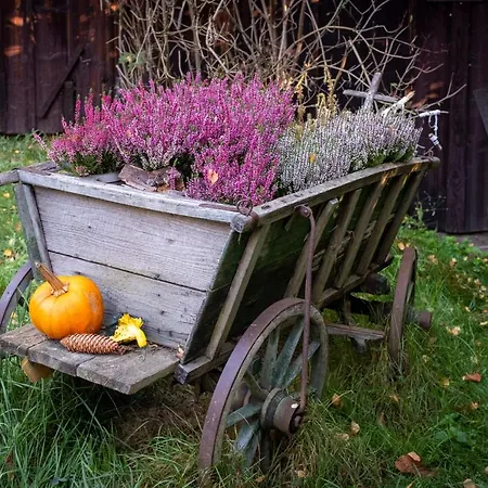 Enjoy Cozy Hills & Forest & Views & Gardens & Sauna Whirlpool Bath