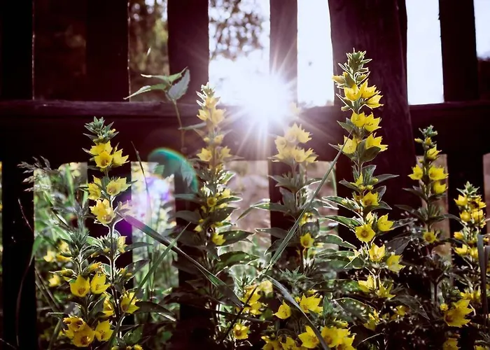 דירה Enjoy Cozy Hills & Forest & Views & Gardens & Sauna Whirlpool Bath Jablonné v Podještědí