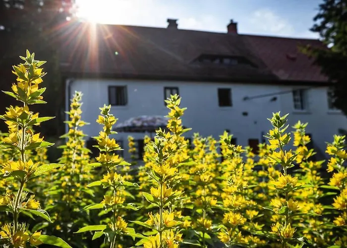 Enjoy Cozy Hills & Forest & Views & Gardens & Sauna Whirlpool Bath דירה